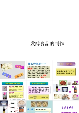 八年级生物上册 第五单元第三章 第一节 发酵食品的制作课件 （新版）冀教版-（新版）冀教级上册生物课件