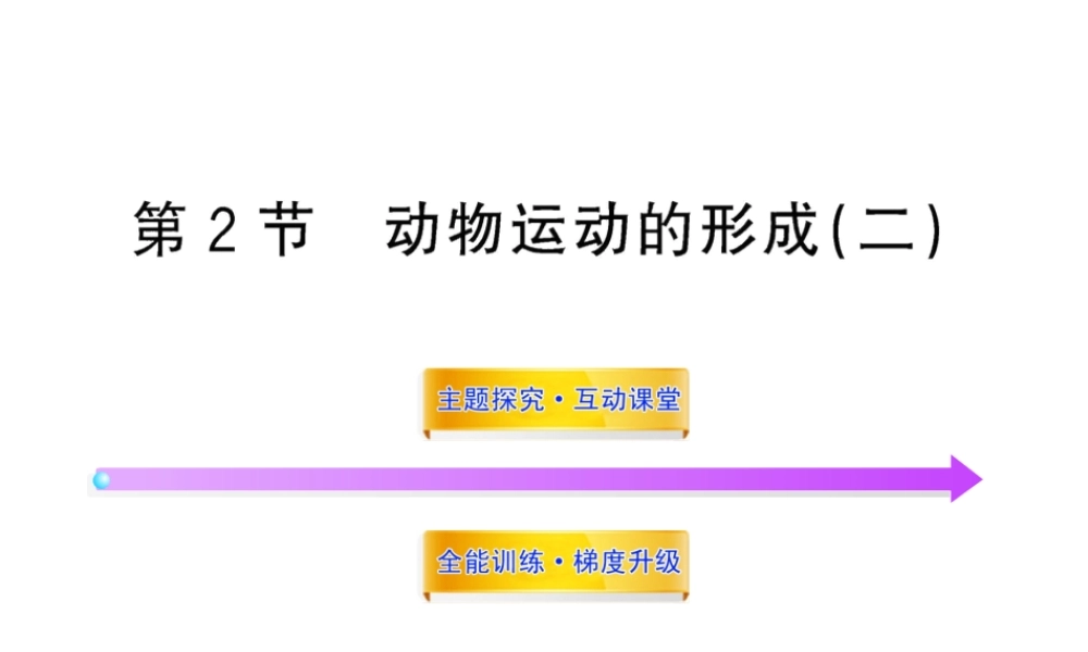八年级生物上册 第十五章 第二节 之 动物运动的形成（二）课件 北师大版