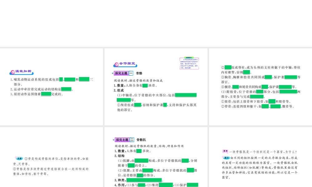 八年级生物上册 第十五章 第二节 之 动物运动的形成（二）课件 北师大版