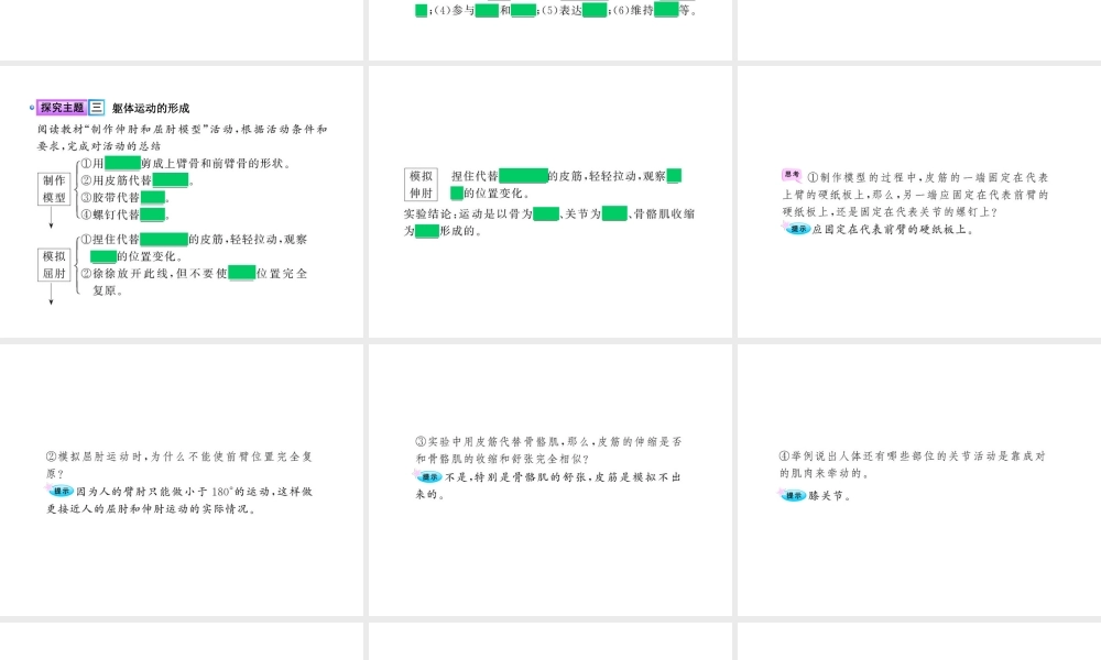 八年级生物上册 第十五章 第二节 之 动物运动的形成（二）课件 北师大版