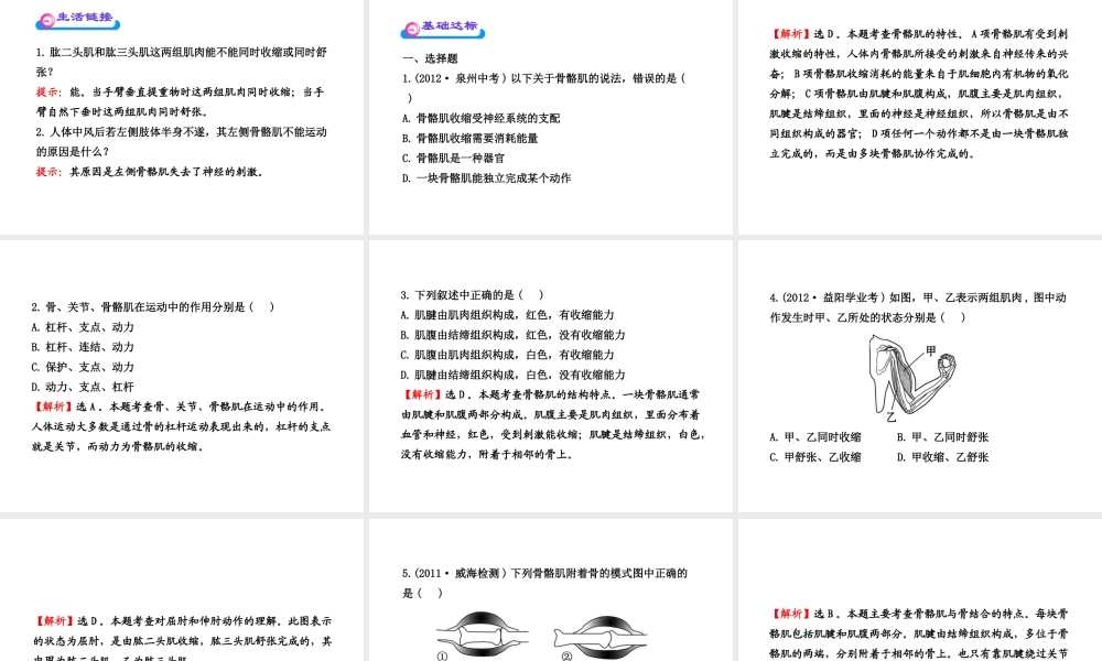 八年级生物上册 第十五章 第二节 之 动物运动的形成（二）课件 北师大版