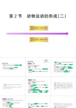 八年级生物上册 第十五章 第二节 之 动物运动的形成（二）课件 北师大版