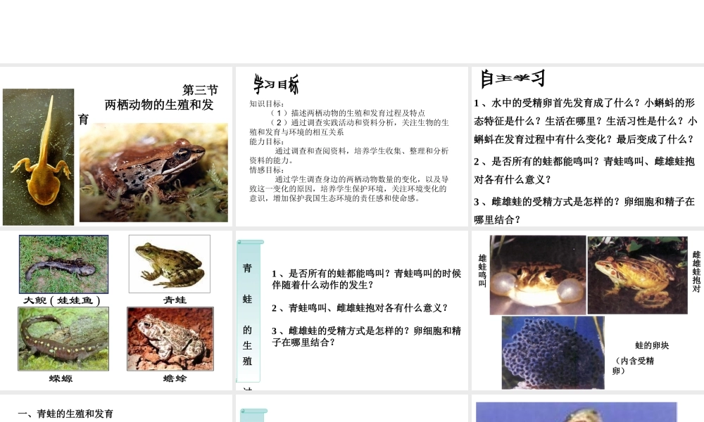 八年级生物下册 7.1.3 两栖动物的生殖和发育课件（3）（新版）新人教版-（新版）新人教级下册生物课件