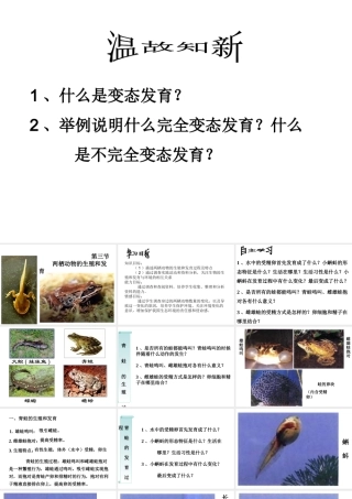 八年级生物下册 7.1.3 两栖动物的生殖和发育课件（3）（新版）新人教版-（新版）新人教级下册生物课件