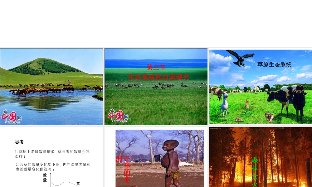 八年级生物上册《生态系统的自我调节》课件2 苏科版