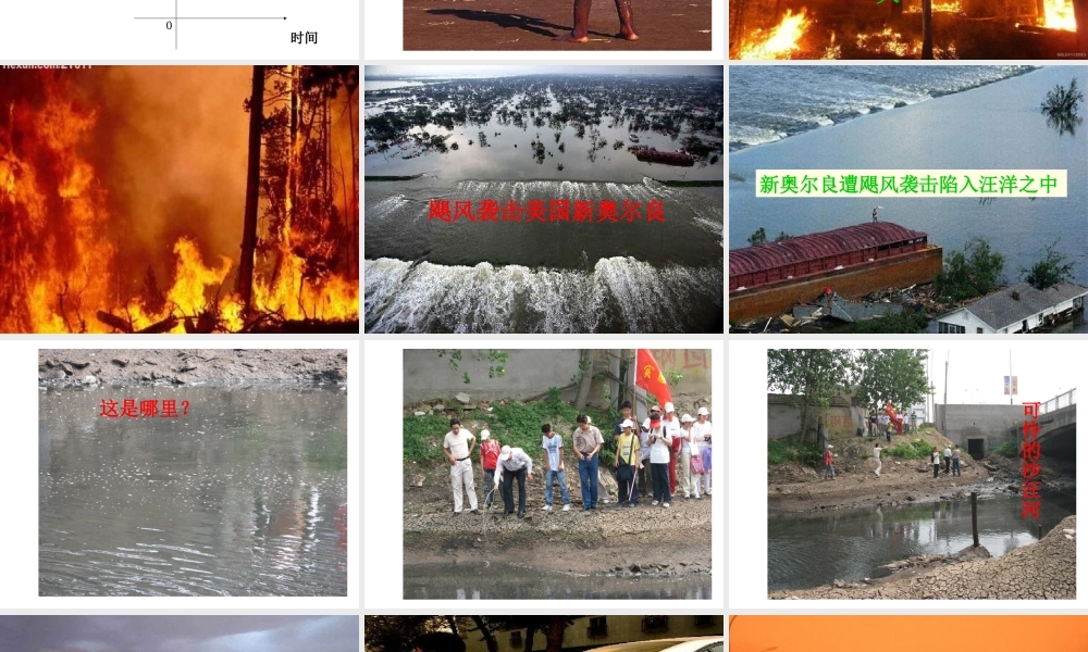 八年级生物上册《生态系统的自我调节》课件2 苏科版