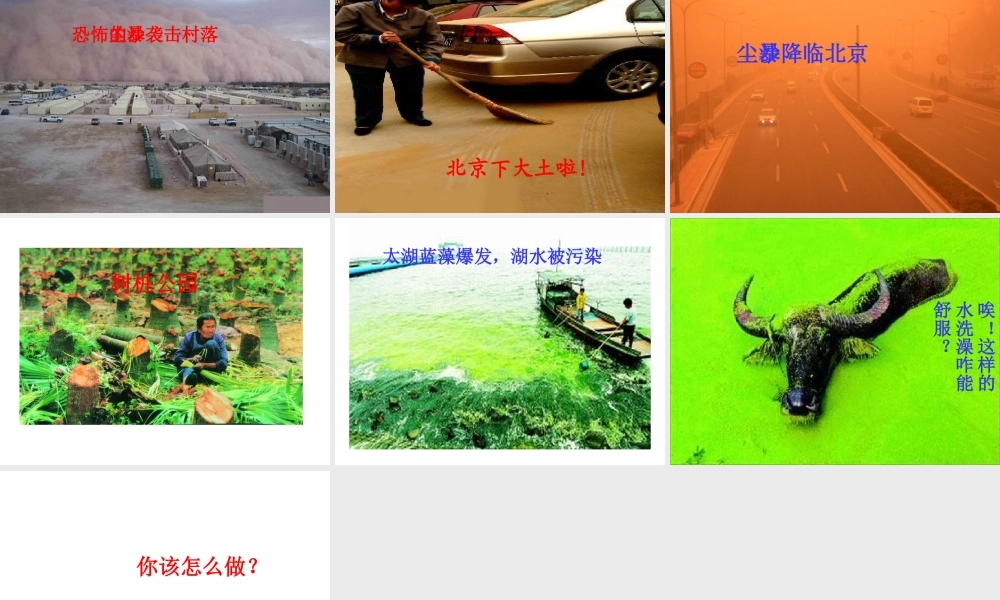 八年级生物上册《生态系统的自我调节》课件2 苏科版