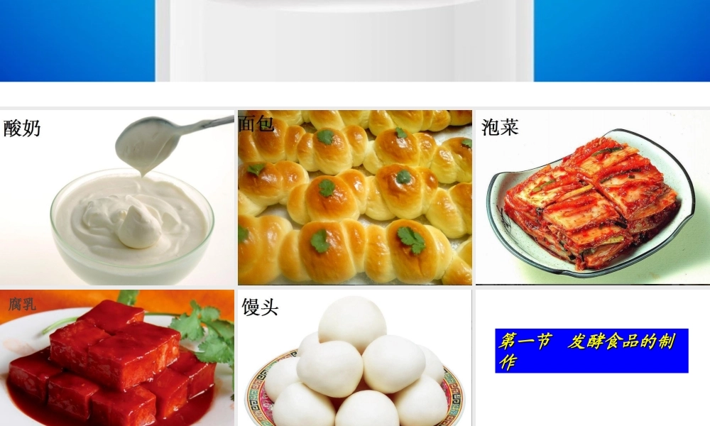 八年级生物上册 第五单元第三章 第一节发酵食品的制作课件 （新版）冀教版-（新版）冀教版初中八年级上册生物课件