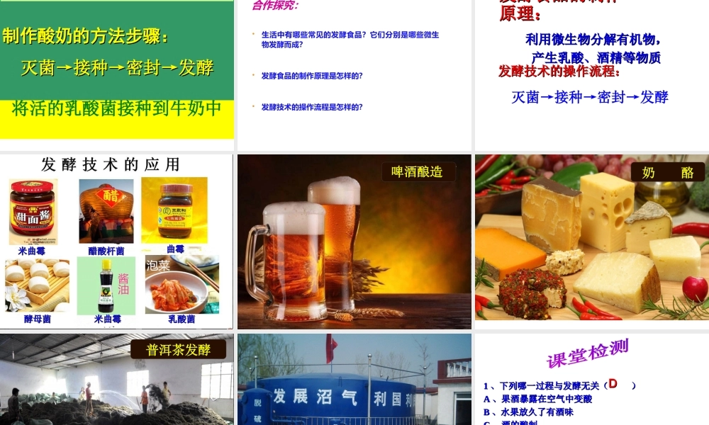 八年级生物上册 第五单元第三章 第一节发酵食品的制作课件 （新版）冀教版-（新版）冀教版初中八年级上册生物课件
