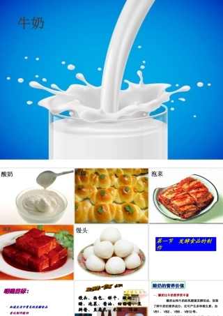 八年级生物上册 第五单元第三章 第一节发酵食品的制作课件 （新版）冀教版-（新版）冀教版初中八年级上册生物课件