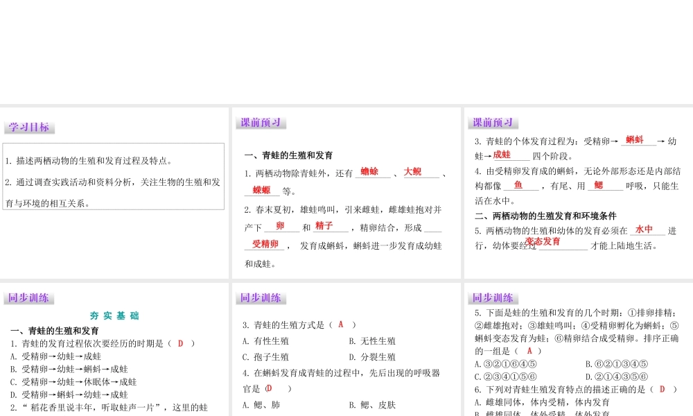 八年级生物下册 7.1.3 两栖动物的生殖和发育课件（新版）新人教版-（新版）新人教版初中八年级下册生物课件