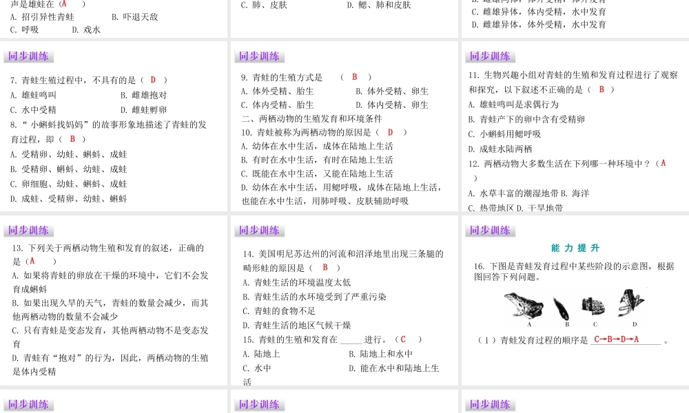 八年级生物下册 7.1.3 两栖动物的生殖和发育课件（新版）新人教版-（新版）新人教版初中八年级下册生物课件