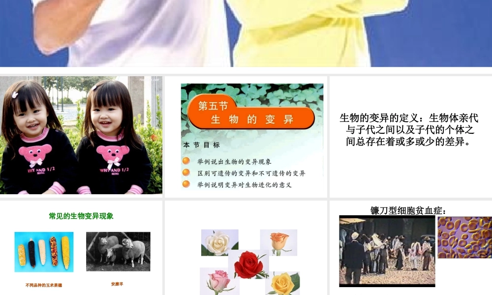 八年级生物上册《生物的变异》课件 苏教版
