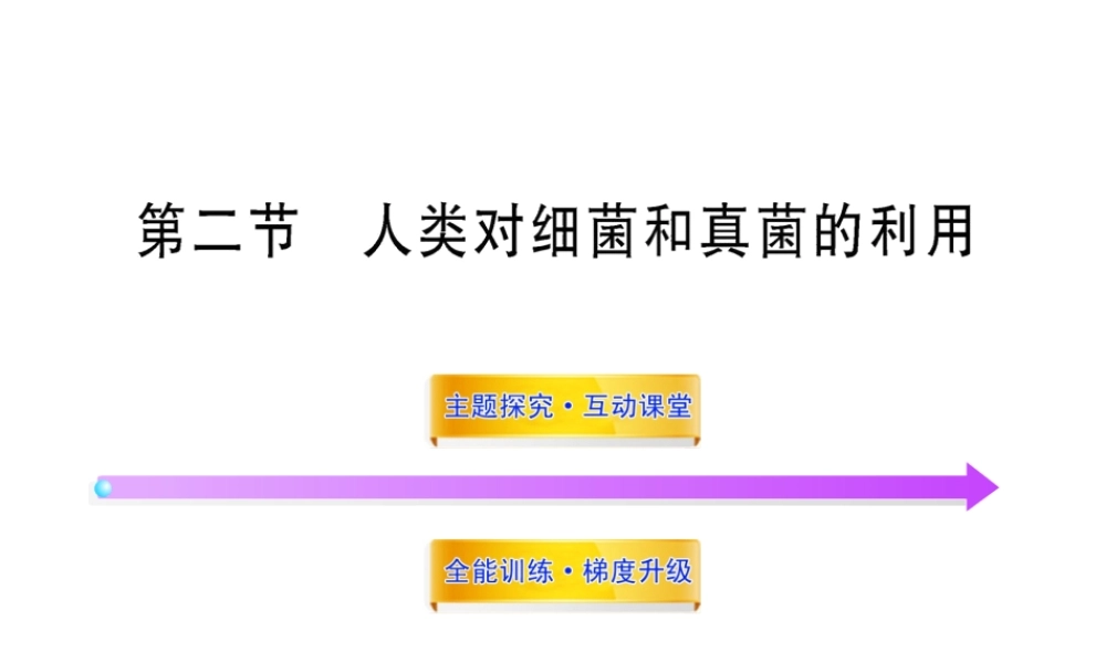 八年级生物上册 第五单元 第五章 第二节 人类对细菌和真菌的利用课件 新人教版