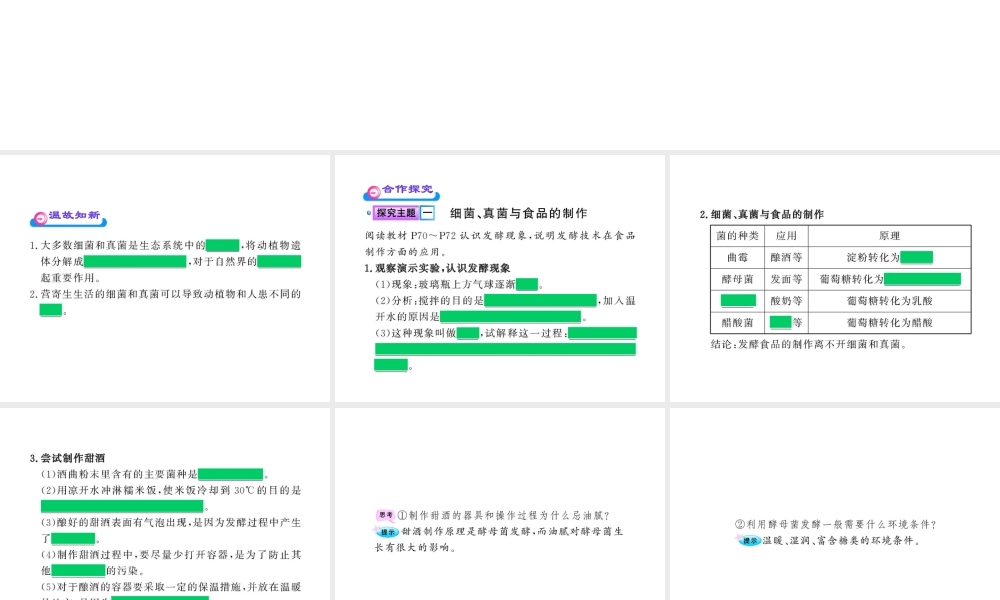 八年级生物上册 第五单元 第五章 第二节 人类对细菌和真菌的利用课件 新人教版