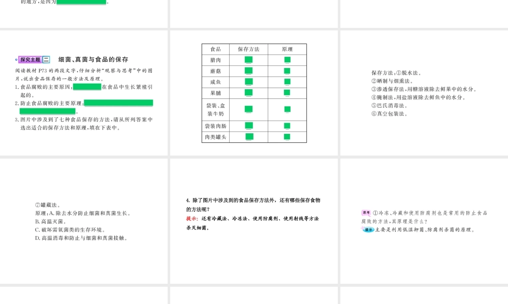 八年级生物上册 第五单元 第五章 第二节 人类对细菌和真菌的利用课件 新人教版