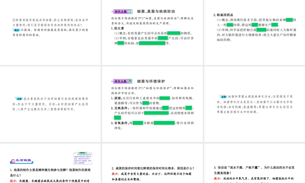 八年级生物上册 第五单元 第五章 第二节 人类对细菌和真菌的利用课件 新人教版