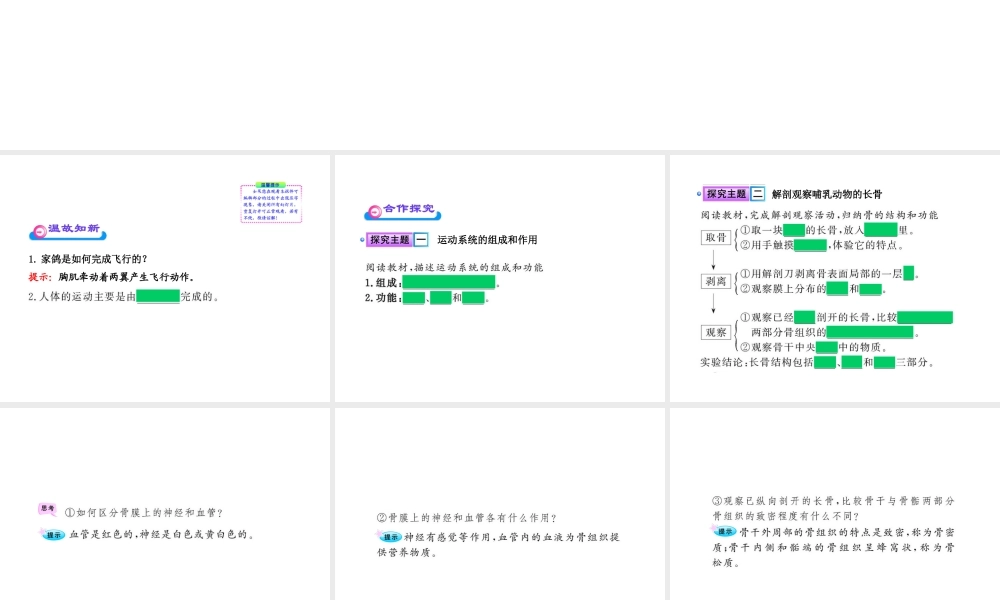 八年级生物上册 第十五章 第二节 之 动物运动的形成（一）课件 北师大版