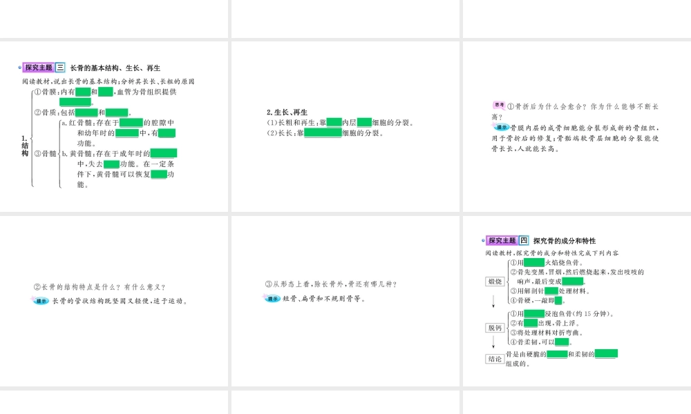 八年级生物上册 第十五章 第二节 之 动物运动的形成（一）课件 北师大版