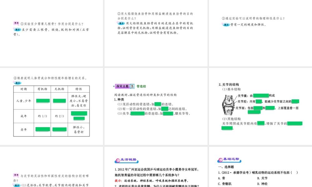 八年级生物上册 第十五章 第二节 之 动物运动的形成（一）课件 北师大版
