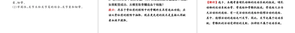 八年级生物上册 第十五章 第二节 之 动物运动的形成（一）课件 北师大版