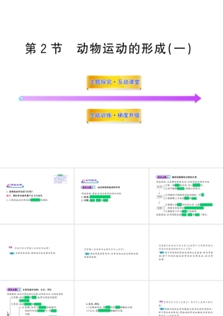 八年级生物上册 第十五章 第二节 之 动物运动的形成（一）课件 北师大版