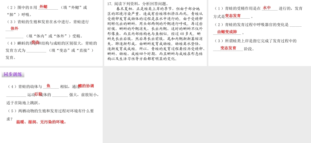 八年级生物下册 7.1.3 两栖动物的生殖和发育课件（新版）新人教版-（新版）新人教级下册生物课件