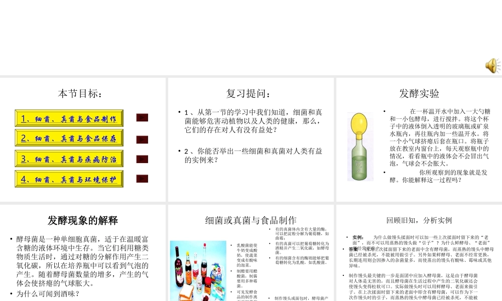 八年级生物上册 第五单元 第五章 第二节《人类对细菌和真菌的利用》课件 新人教版