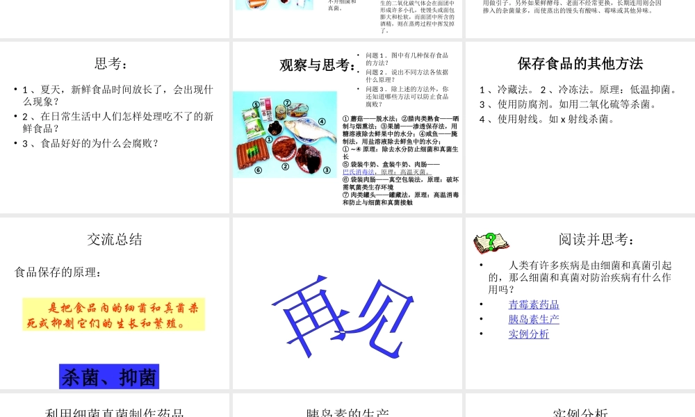八年级生物上册 第五单元 第五章 第二节《人类对细菌和真菌的利用》课件 新人教版