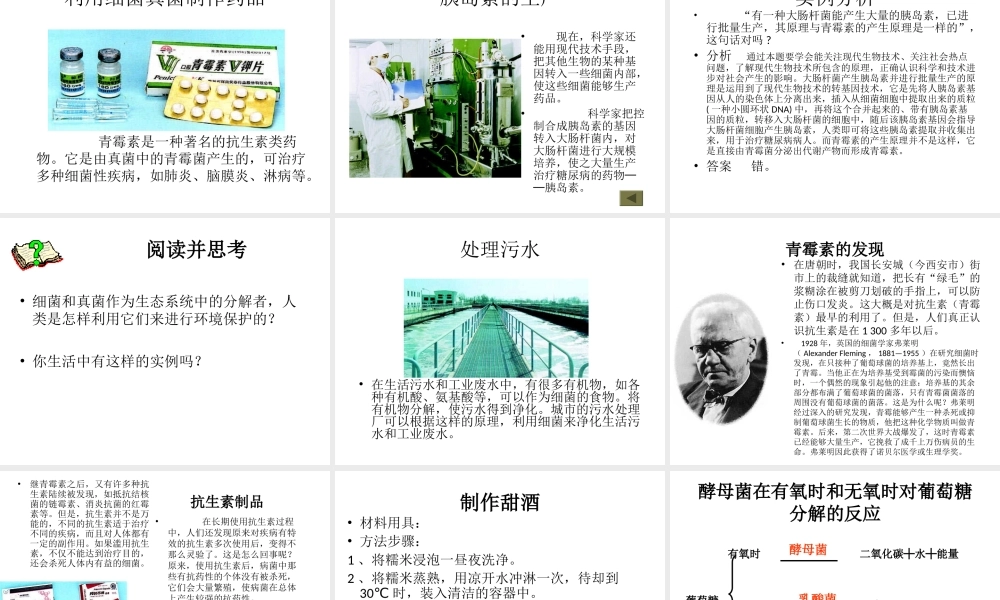 八年级生物上册 第五单元 第五章 第二节《人类对细菌和真菌的利用》课件 新人教版
