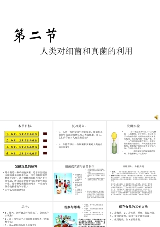 八年级生物上册 第五单元 第五章 第二节《人类对细菌和真菌的利用》课件 新人教版