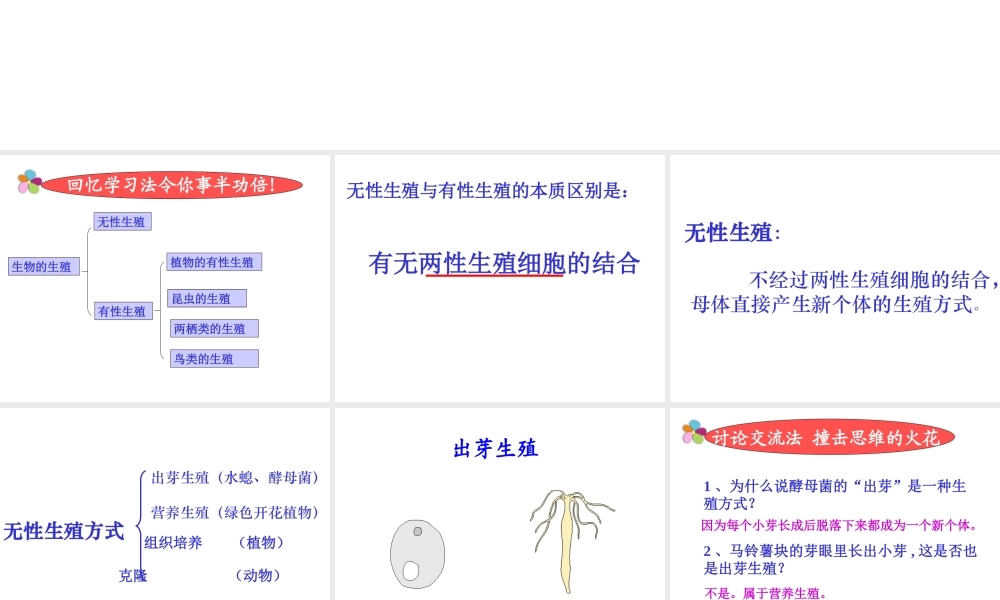 八年级生物上册《生物的生殖与发育》课件 苏教版