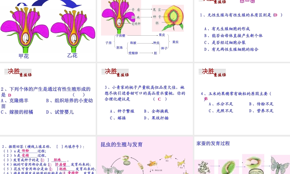 八年级生物上册《生物的生殖与发育》课件 苏教版