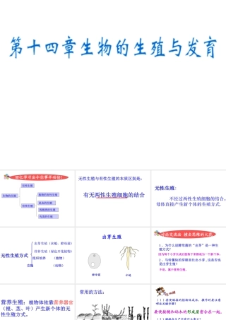 八年级生物上册《生物的生殖与发育》课件 苏教版