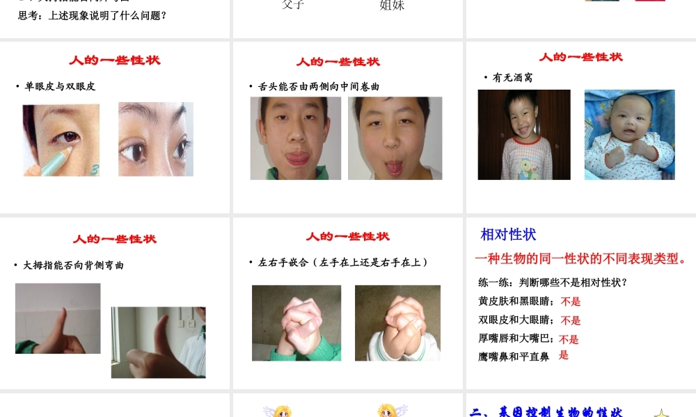 八年级生物上册 第十五章 第二节人的性状和遗传课件 苏教版