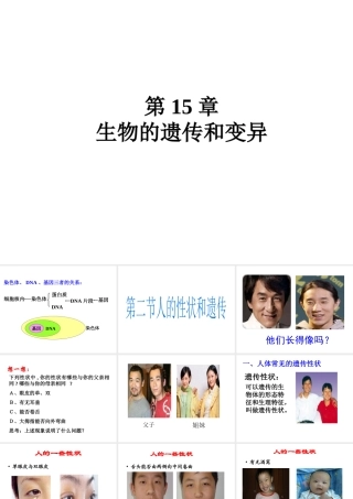 八年级生物上册 第十五章 第二节人的性状和遗传课件 苏教版