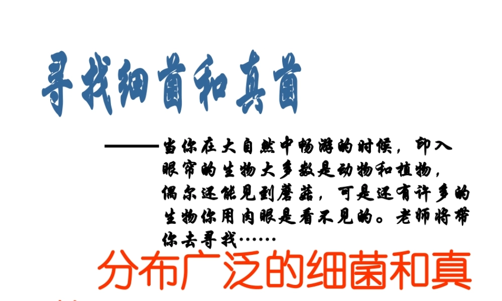 八年级生物上册 第五单元第五章细菌和真菌在生物圈中的作用课件 人教新课标版