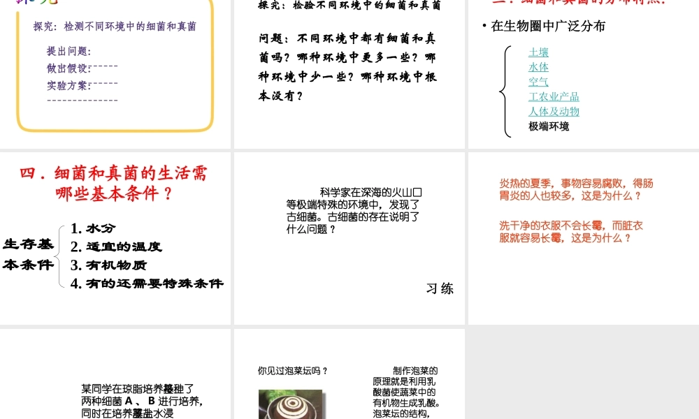 八年级生物上册 第五单元第五章细菌和真菌在生物圈中的作用课件 人教新课标版