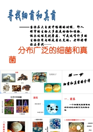 八年级生物上册 第五单元第五章细菌和真菌在生物圈中的作用课件 人教新课标版