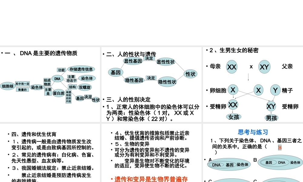 八年级生物上册《生物的遗传和变异》课件 苏教版