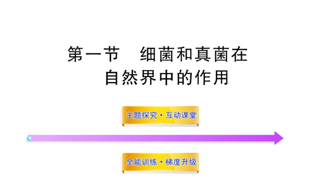 八年级生物上册 第五单元 第五章 第一节 细菌和真菌在自然界中的作用课件 新人教版