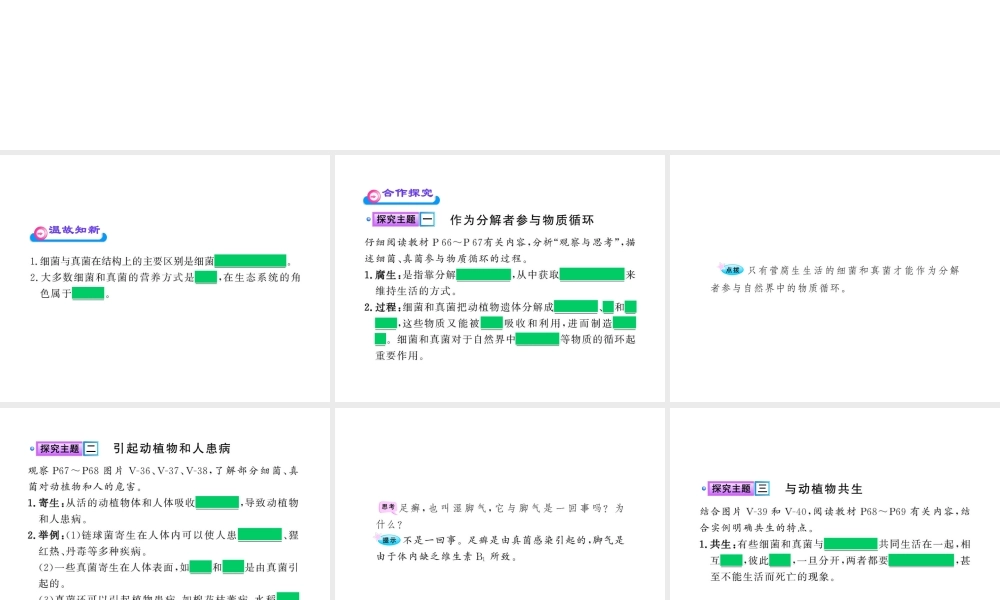 八年级生物上册 第五单元 第五章 第一节 细菌和真菌在自然界中的作用课件 新人教版
