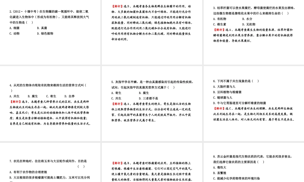八年级生物上册 第五单元 第五章 第一节 细菌和真菌在自然界中的作用课件 新人教版