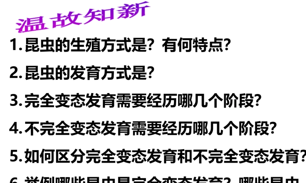 八年级生物下册 7.1.3 两栖动物的生殖和发育课件2 （新版）新人教版-（新版）新人教级下册生物课件