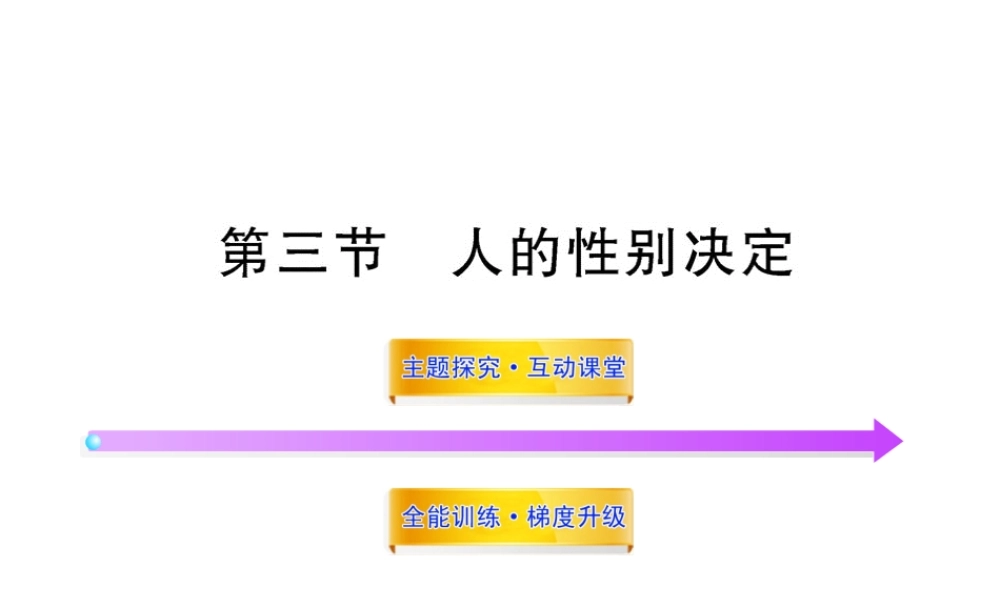 八年级生物上册 第十五章 第三节 人的性别决定课件 苏教版