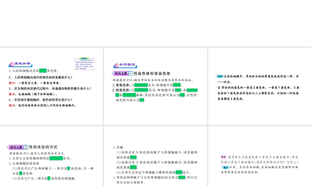 八年级生物上册 第十五章 第三节 人的性别决定课件 苏教版