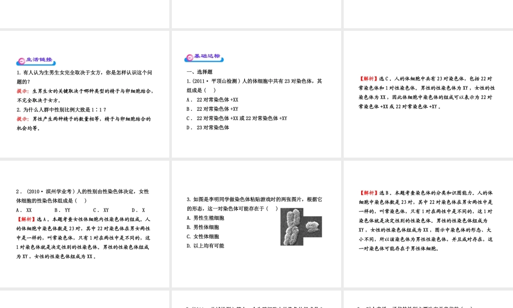 八年级生物上册 第十五章 第三节 人的性别决定课件 苏教版