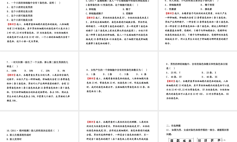 八年级生物上册 第十五章 第三节 人的性别决定课件 苏教版