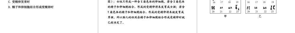 八年级生物上册 第十五章 第三节 人的性别决定课件 苏教版