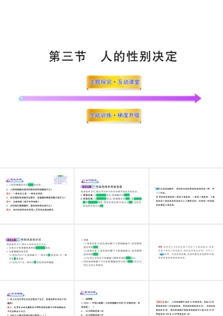 八年级生物上册 第十五章 第三节 人的性别决定课件 苏教版